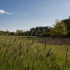 Nachtweide von Patershausen