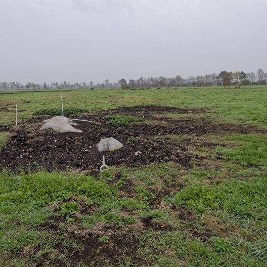 Großsteingrab im Ahlen-Falkenberger Moor