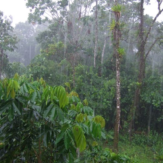 Sumaco Napo-Galeras National Park
