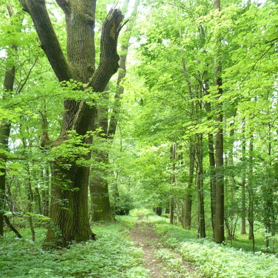 Úlibická bažantnice