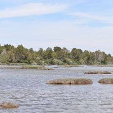 Parco nazionale di Divjakë-Karavasta