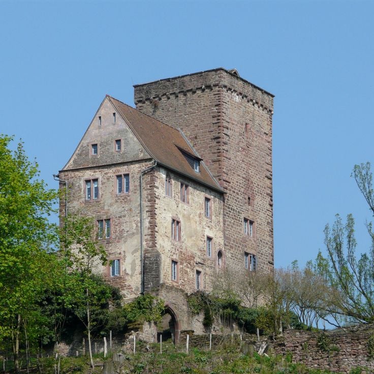 Burgen Neckarsteinach