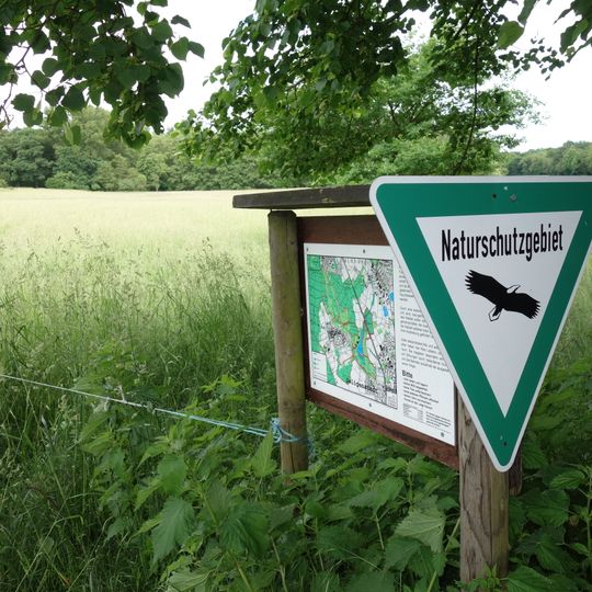 Langhorst von Hainburg und Seligenstadt