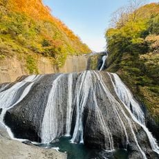 Fukuroda