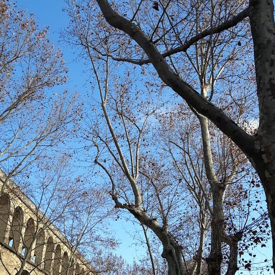 Les Arceaux