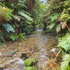Otangane Stream