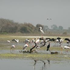 Manjira Wildlife Sanctuary