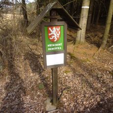 Natural monument Louky u Černého lesa