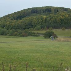 Schorn