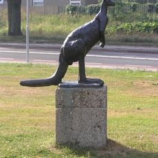 Kangoeroe