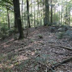 Hallstatt period burial mound group