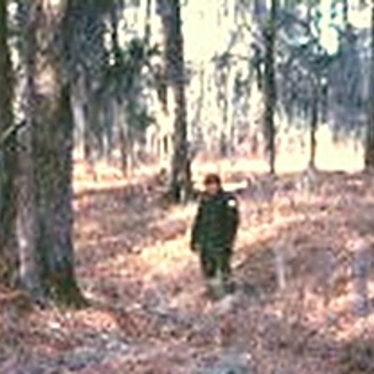 Apalachicola Fort Site