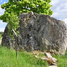 Södermanlands runinskrifter 231