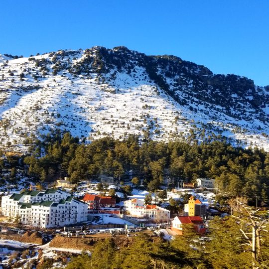 Tikjda