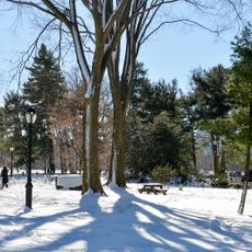 Great Lawn and Turtle Pond