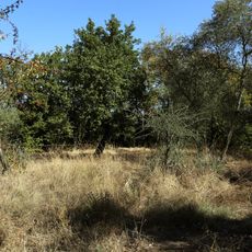 Ruderi della chiesa di San Biagio