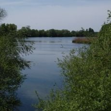 Öberauer Donauschleife