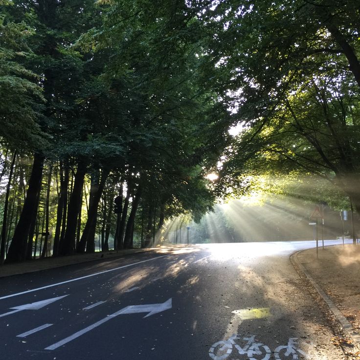 Bois de la Cambre