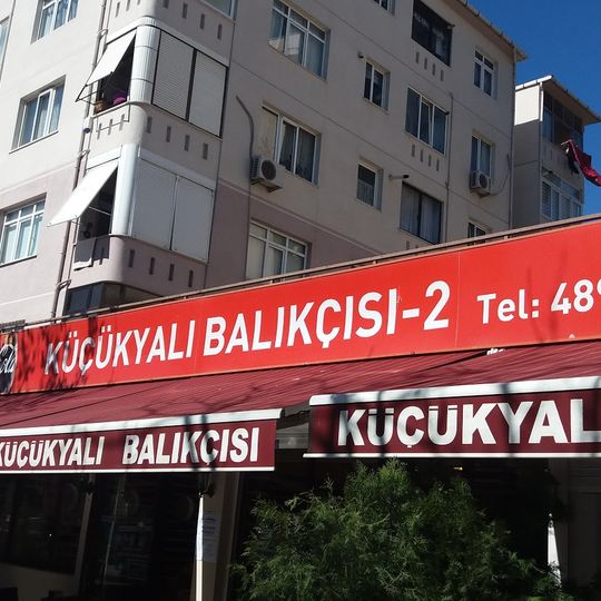Küçükyalı Balıkçısı