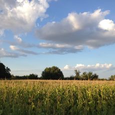Gräberfeld Bruckenäcker und Zurndorfer Tafel