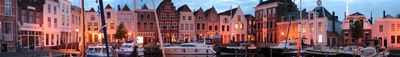 Panoramic View 1