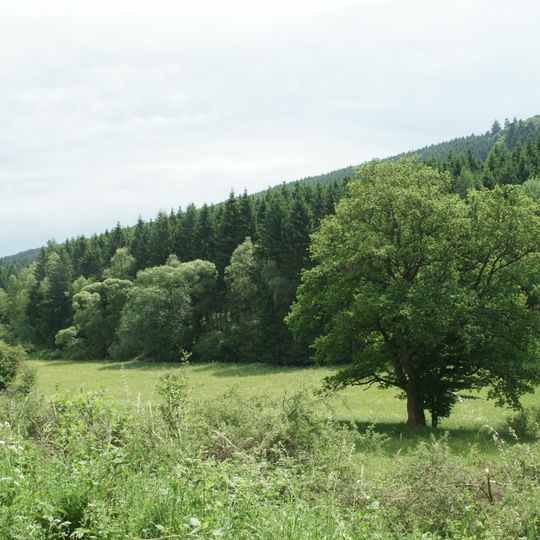 Oberlauf des Linspherbaches