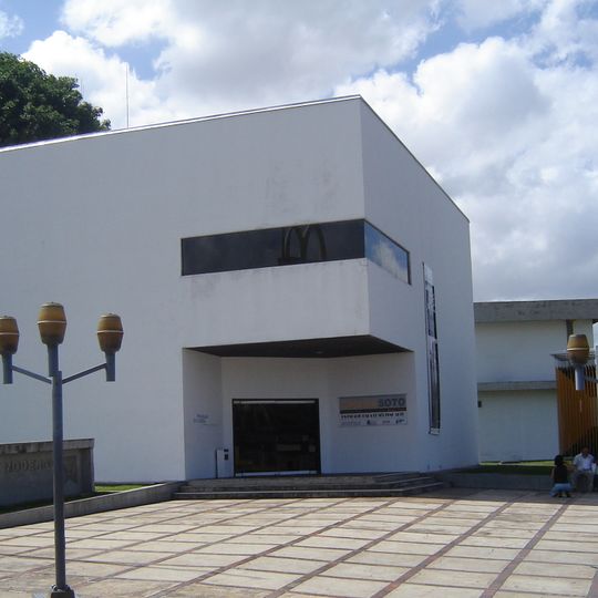 Jesús Soto Museum of Modern Art