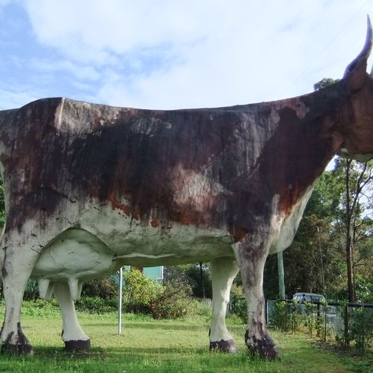 Big Cow