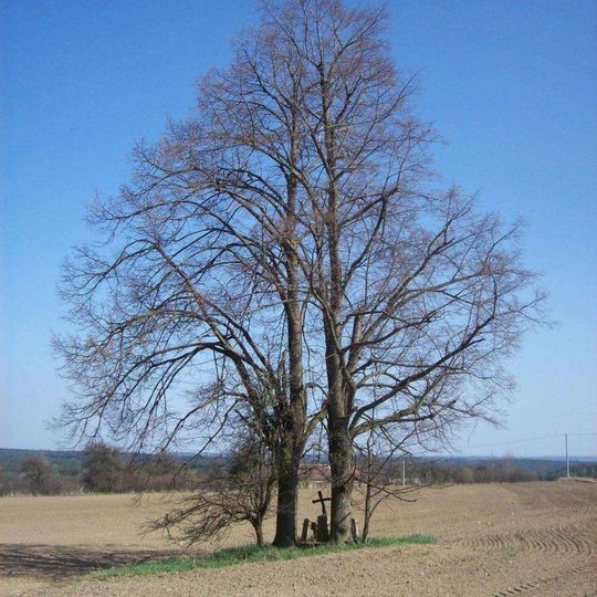 Kříž jižně od Zběšiček