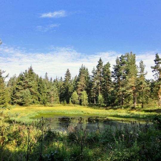 Bergwiesen im südlichen Fichtelgebirge