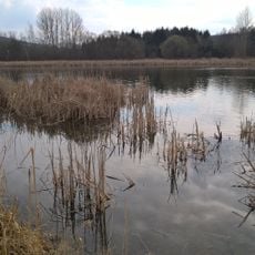 Horní solopyský rybník