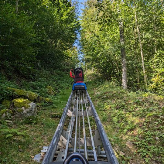 Sommerrodelbahn Hexentanzplatz Thale