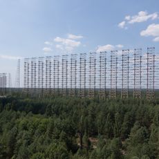 Pájaro Carpintero Ruso