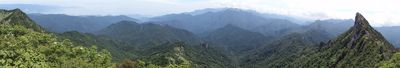 The view 3
