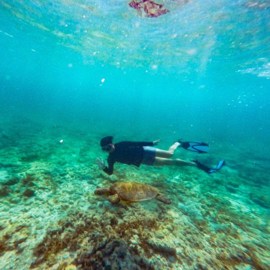 Escuela Primaria Tunga