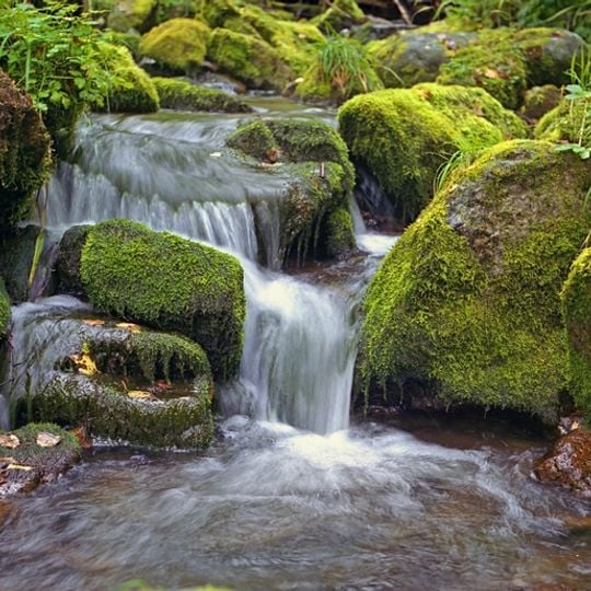 Sayano-Shushenski Nature Reserve