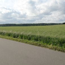 Staatsforst Langwedel-Sören