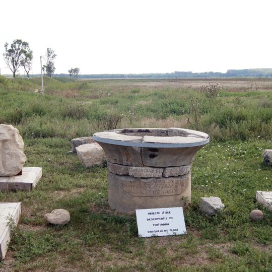 Târgu de Floci