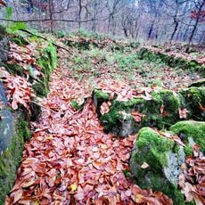 Bunker 313 Erlenbach