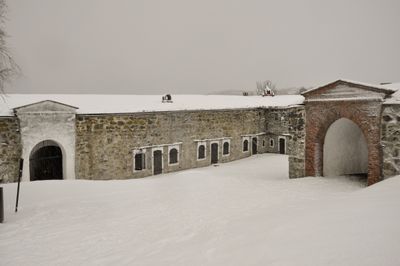 Winter 5