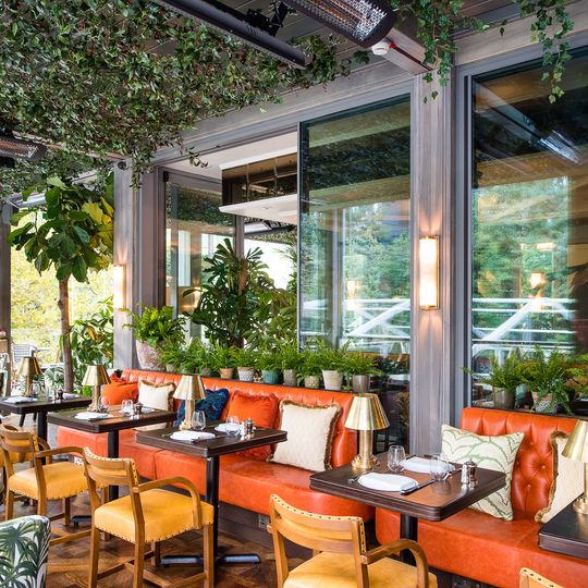 The Ivy