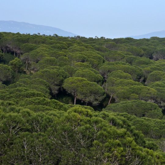 Mata Nacional de Barão de São João