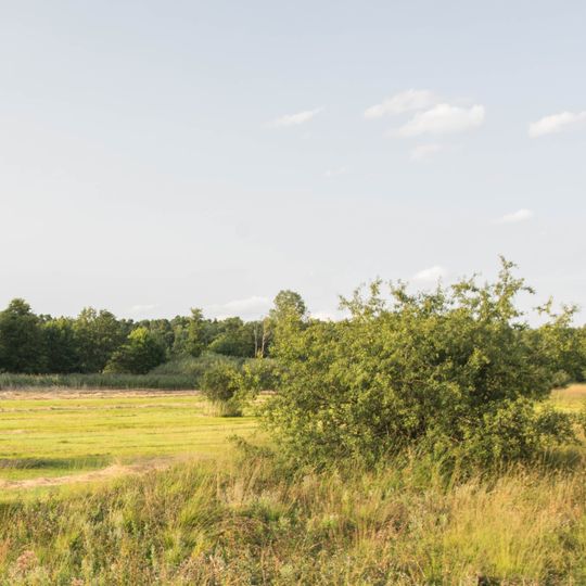 Pfäfflinger Wiesen und Riedgraben bei Laub