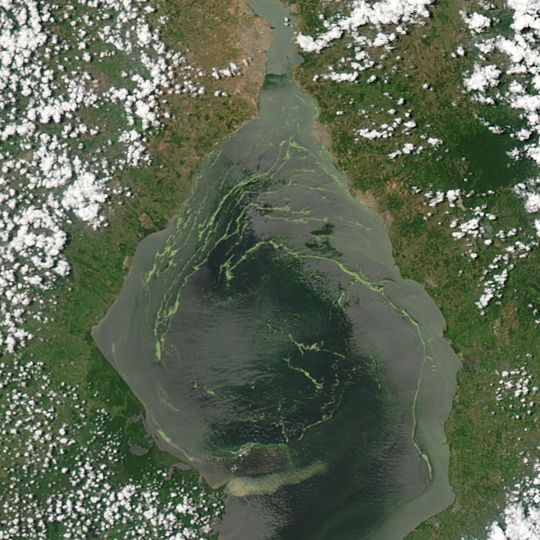 Lago di Maracaibo