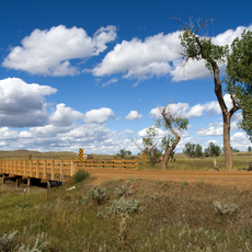 Cottonwood Creek Bridge