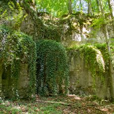 Dolomitfelsen am Steinberg E von Königstein