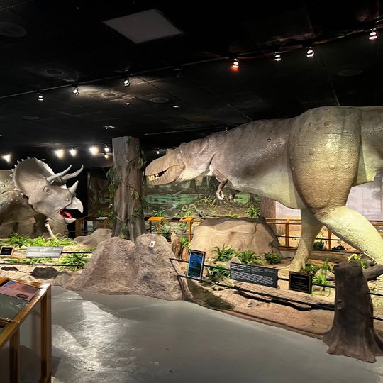 Las Vegas Natural History Museum