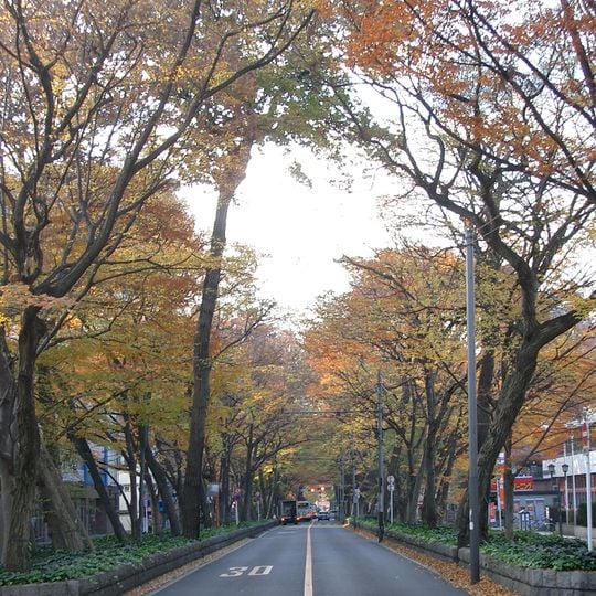 Babadaimon no Keyaki Namiki