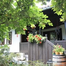 Maison située 17 rue Svetozara Markovića à Kragujevac