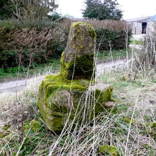 Wayside Cross Approximately 100 Metres West Of Minterne Parva House Ngr St 6643 0345